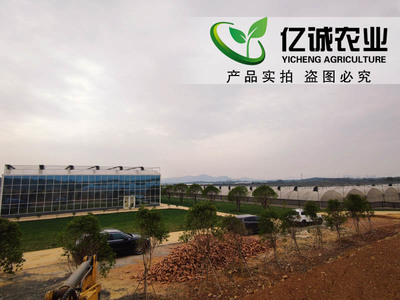温室大棚制造厂家施工现场案例-温室工程出口图片_青州市亿诚农业科技