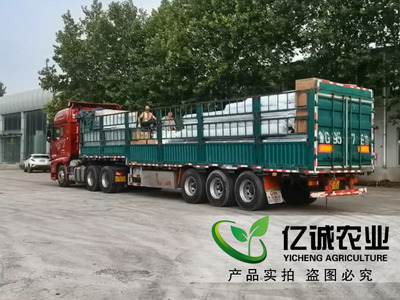 温室大棚制造厂家施工现场案例-温室工程出口图片_青州市亿诚农业科技