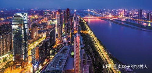 南昌红谷滩区九龙湖板块的详细介绍